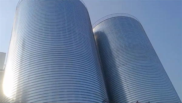 郁南2座混凝土高架卷板仓